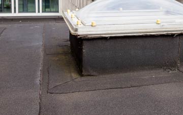 disadvantages of South Aywick flat roofs